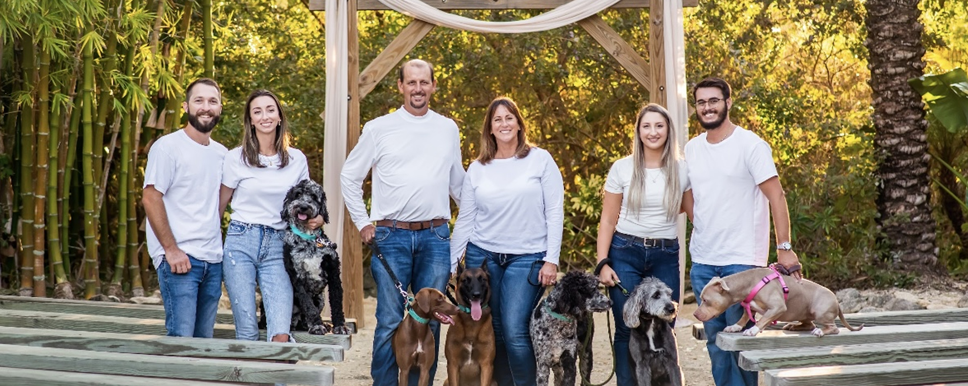 Franchise Development